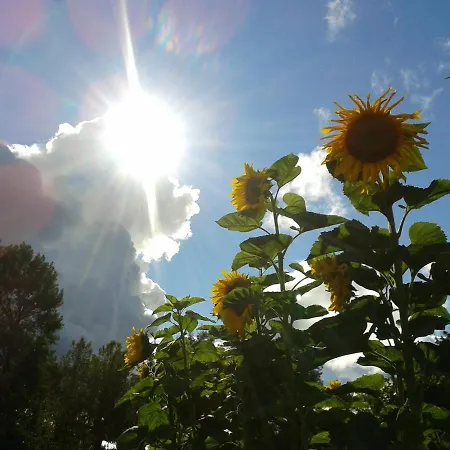 Alloggio in famiglia Galeria Sen Smoldzinski Las