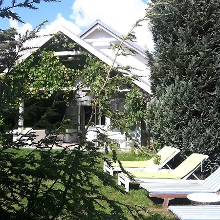 Galeria Sen Smoldzinski Las