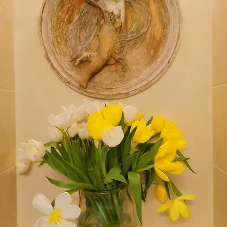 Galeria Sen Alloggio in famiglia