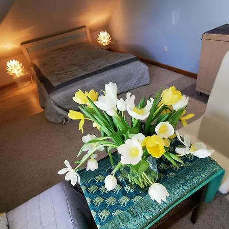 Galeria Sen Alloggio in famiglia