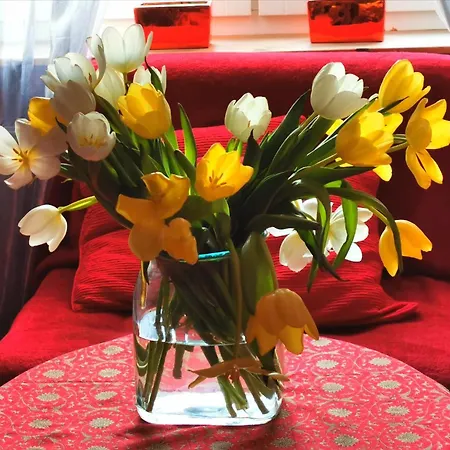 Galeria Sen Alloggio in famiglia