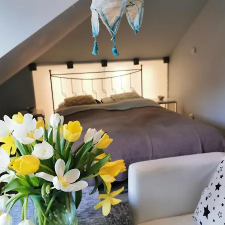 Quarto em Acomodações Particulares Galeria Sen