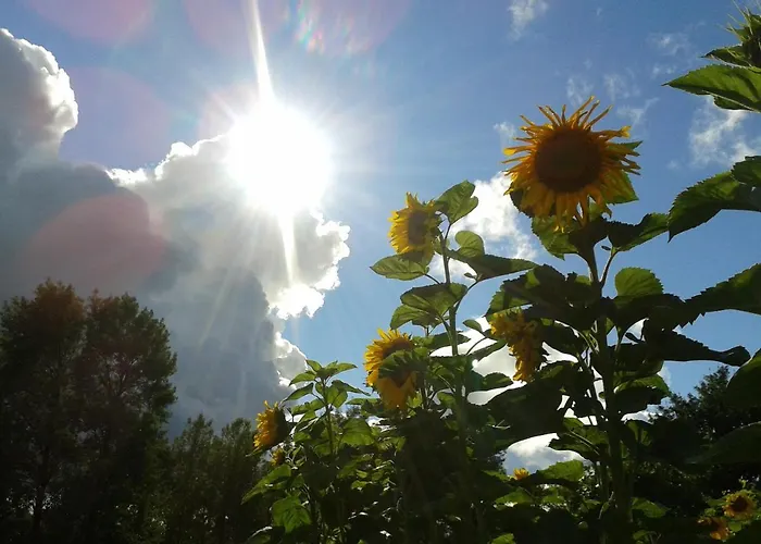 Rum i privatbostad Galeria Sen Smoldzinski Las