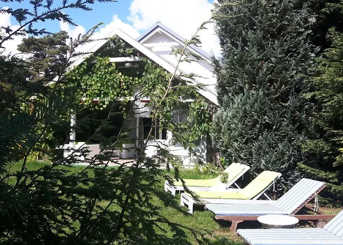 Galeria Sen Smoldzinski Las